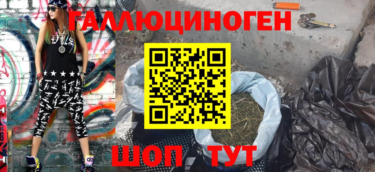 Новочеркасск  Галлюциногенные грибы Psilocybe  сколько стоит  Галлюциногенные грибы Psilocybe  Вход с VPN 